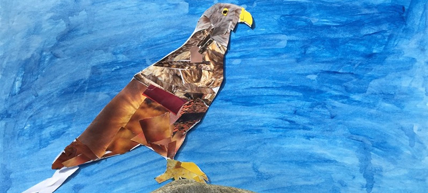WTSE ambassador, Maia writes for RSPB Blog